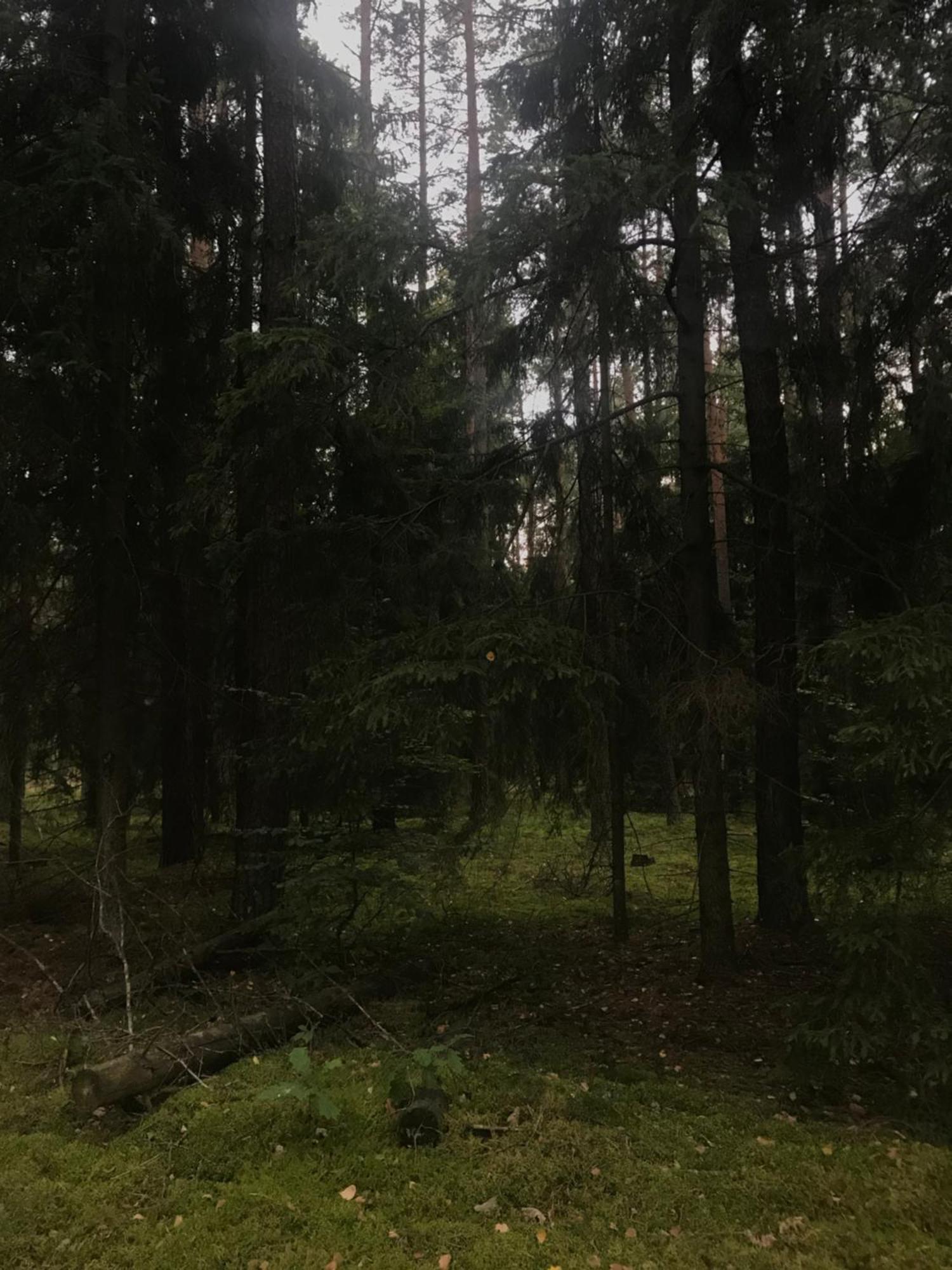 Gapkowo Villa Stare Kiejkuty Екстериор снимка